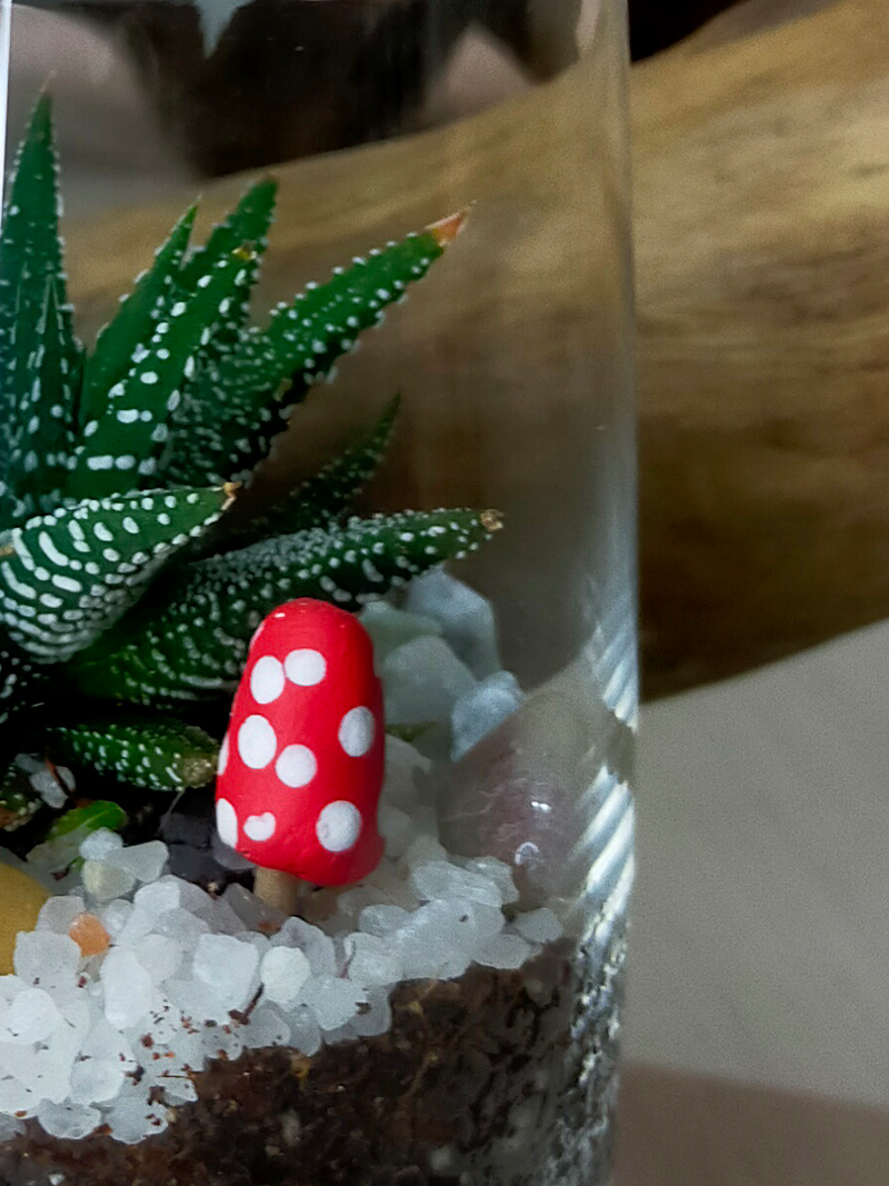 Mini Cup Terrarium - Petite Prince