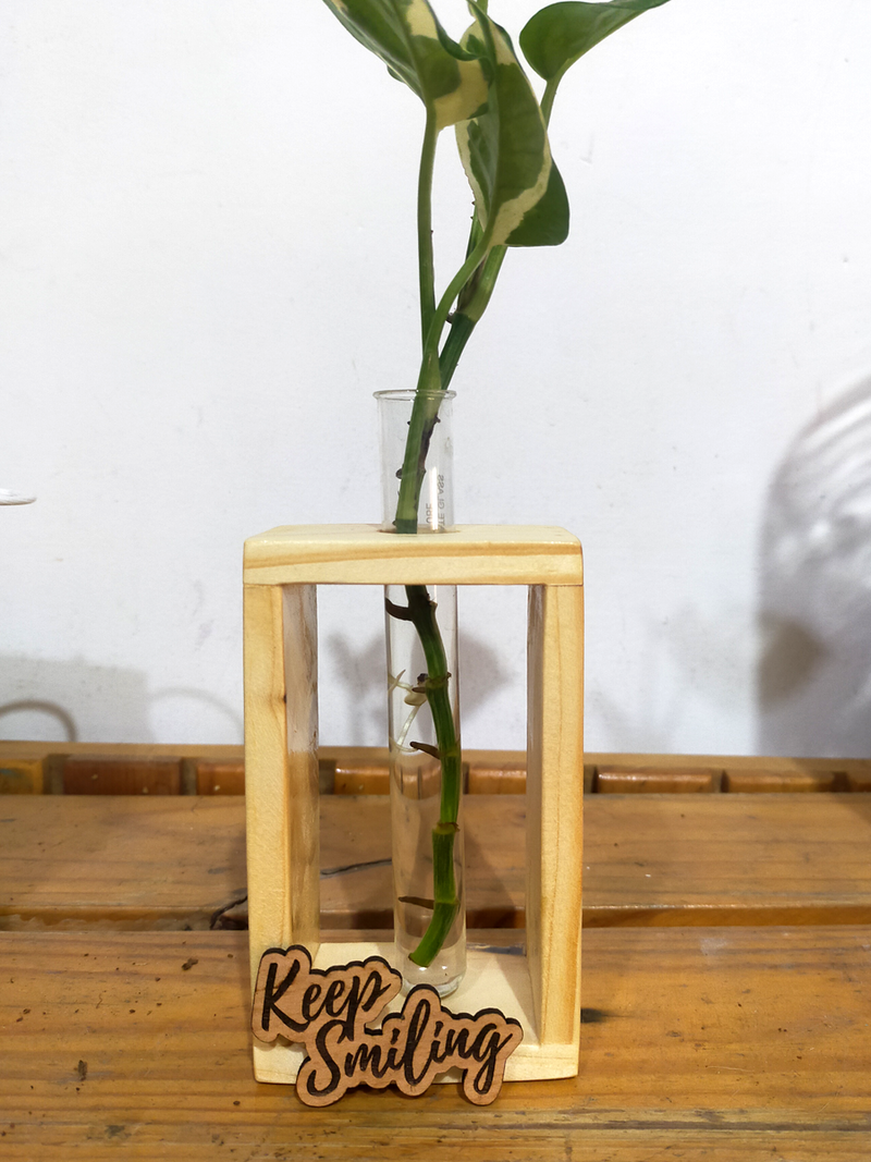 Hydroponic Indoor Plant in Glass - Single test Tube in  Wooden Frame