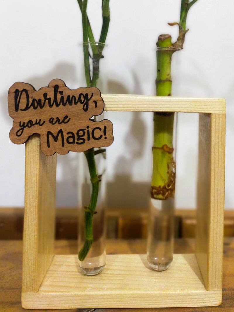 Hydroponic Indoor Plant in Glass - Double test Tube in  Wooden Frame
