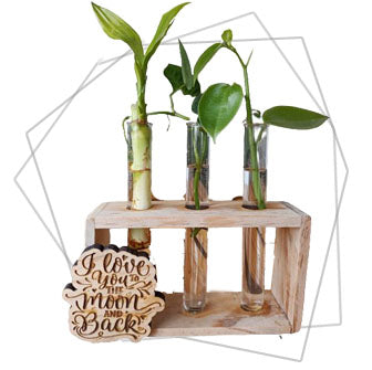 Quirky Green Gifts