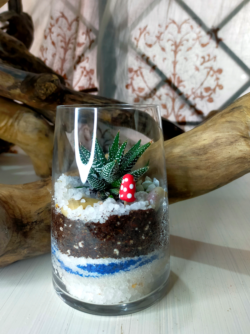 Mini Cup Terrarium - Petite Prince