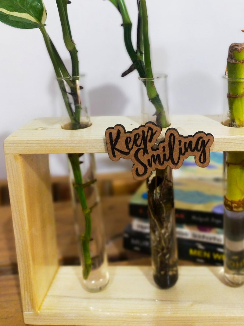 Hydroponic Indoor Plant in Glass - Triple test Tube in  Wooden Frame