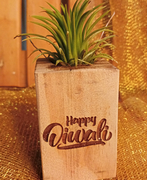 Air Plant on Wood