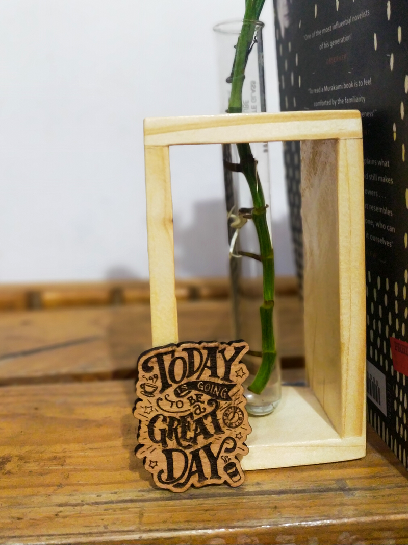 Hydroponic Indoor Plant in Glass - Single test Tube in  Wooden Frame