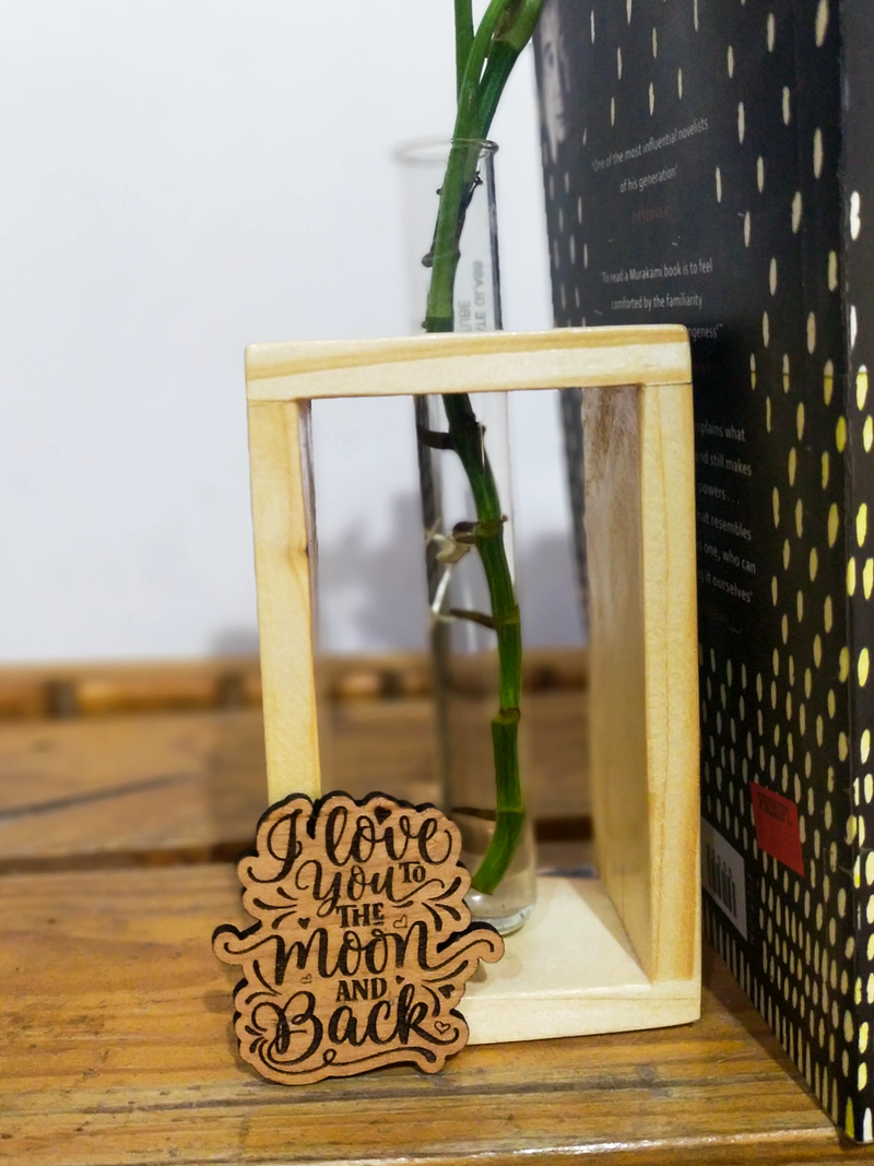 Hydroponic Indoor Plant in Glass - Single test Tube in  Wooden Frame