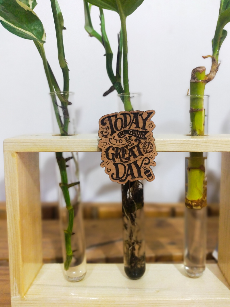Hydroponic Indoor Plant in Glass - Triple test Tube in  Wooden Frame