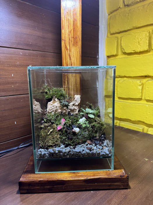 Cube Moss Terrarium (6x6x8 inches)