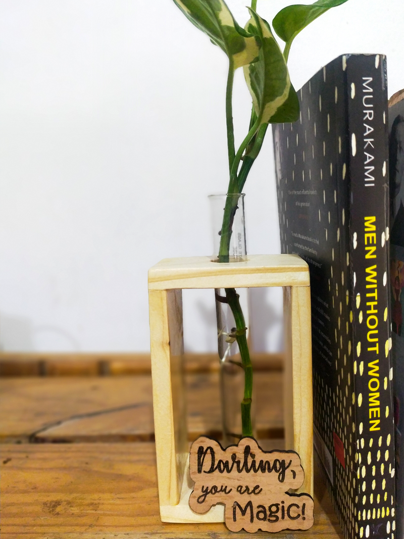 Hydroponic Indoor Plant in Glass - Single test Tube in  Wooden Frame
