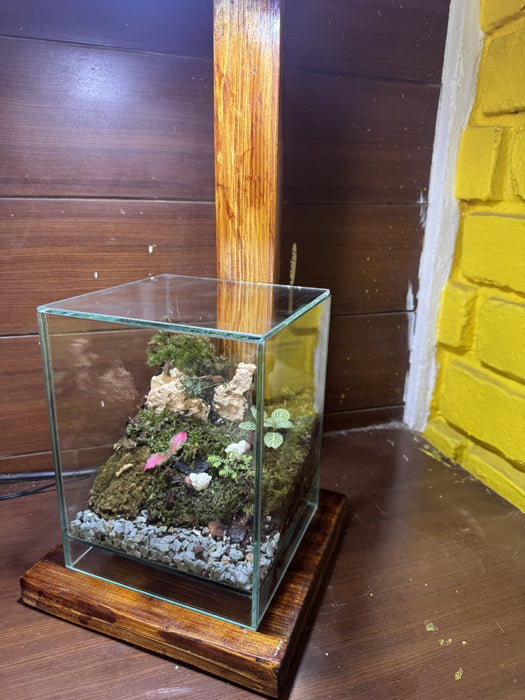 Cube Moss Terrarium (6x6x8 inches)