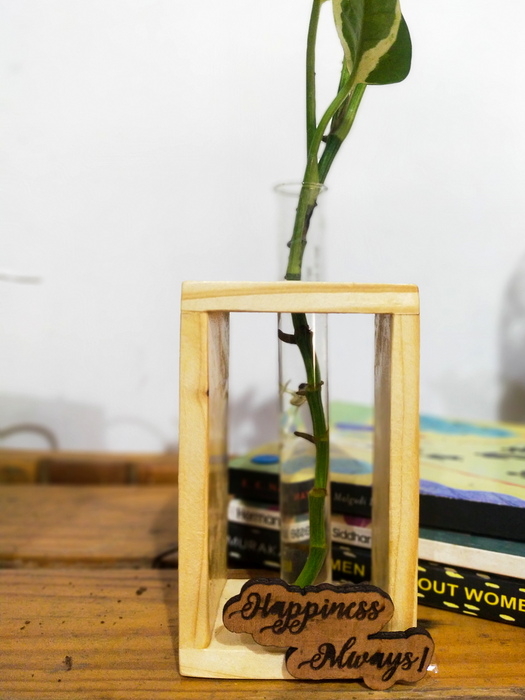 Hydroponic Indoor Plant in Glass - Single test Tube in  Wooden Frame