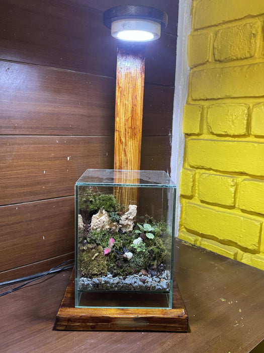 Cube Moss Terrarium (6x6x8 inches)
