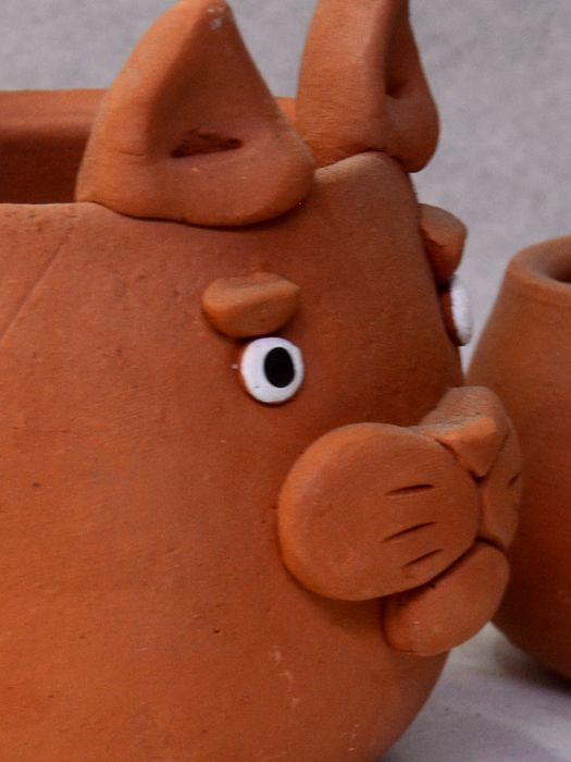 Animal Themed Terracotta Pots (2.5 inches, 4 inches)