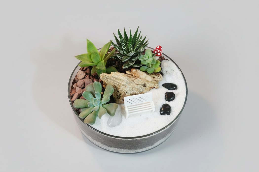 Dish Garden - 6 inches Glass