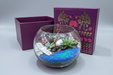 Glass terrarium with plants on a wooden surface with a decorative box in the background.