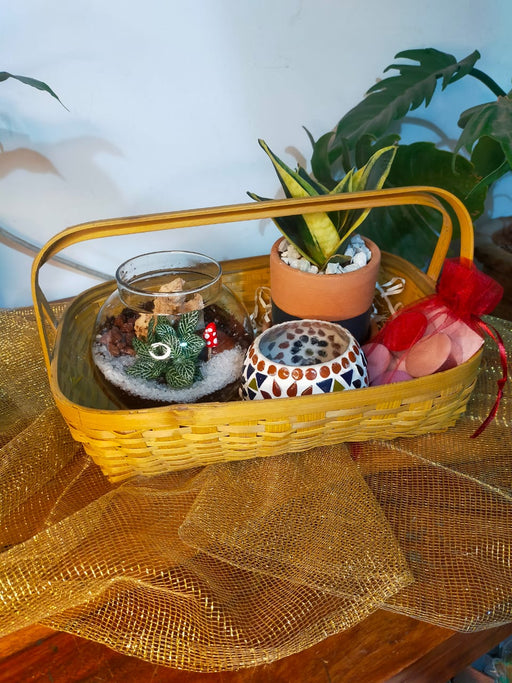 A wonderful curated hamper for your loved ones with every gift thoughtfully selected and packed to ensure a green, sustainable Deepawali for your loved ones.


Hamper Details:&nbsp;

8 inch Cane Basket: A beautiful hand made Cane basket from Assam.&nbsp;

4 inch Rainforest Terrarium:&nbsp;Our ever popular 4 inch Rainforest Terrarium is a unique beauty in this hamper.

Indoor Air purifier in painted Terracotta:&nbsp;A lovely air purifying plant in&nbsp; a 4 inch painted Terracotta pot

Mosaic Tea Light Candl
