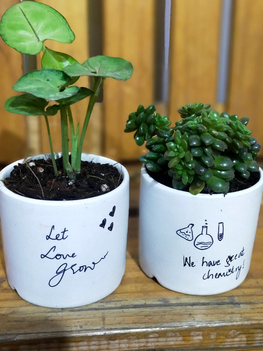 Opposite Duo - House Plants