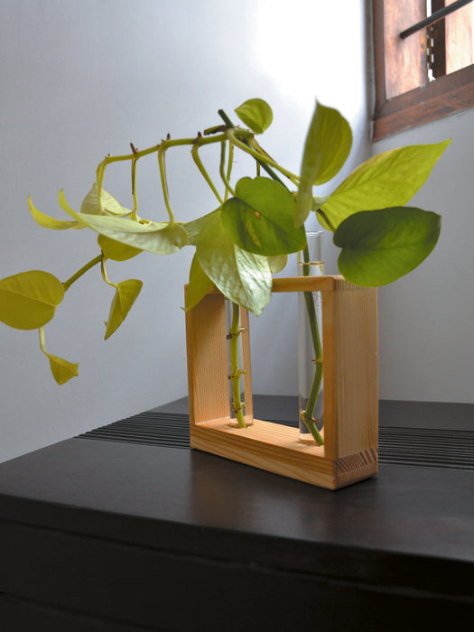 money plant vase Money Plant Tubes — Mudfingers