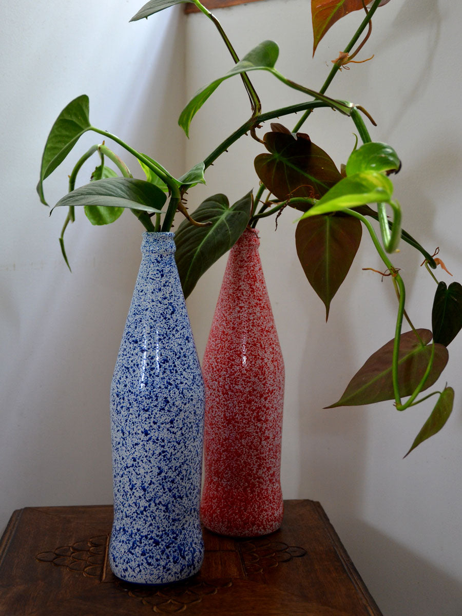 Money plant in shop bottle