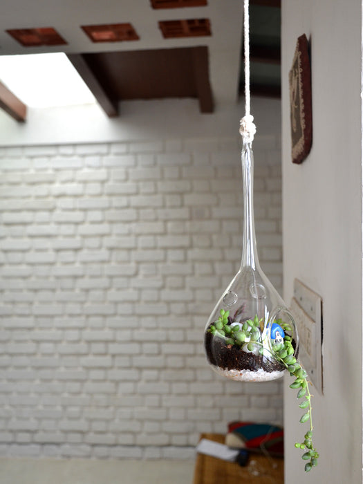 Hanging Orb Terrarium (Pear)