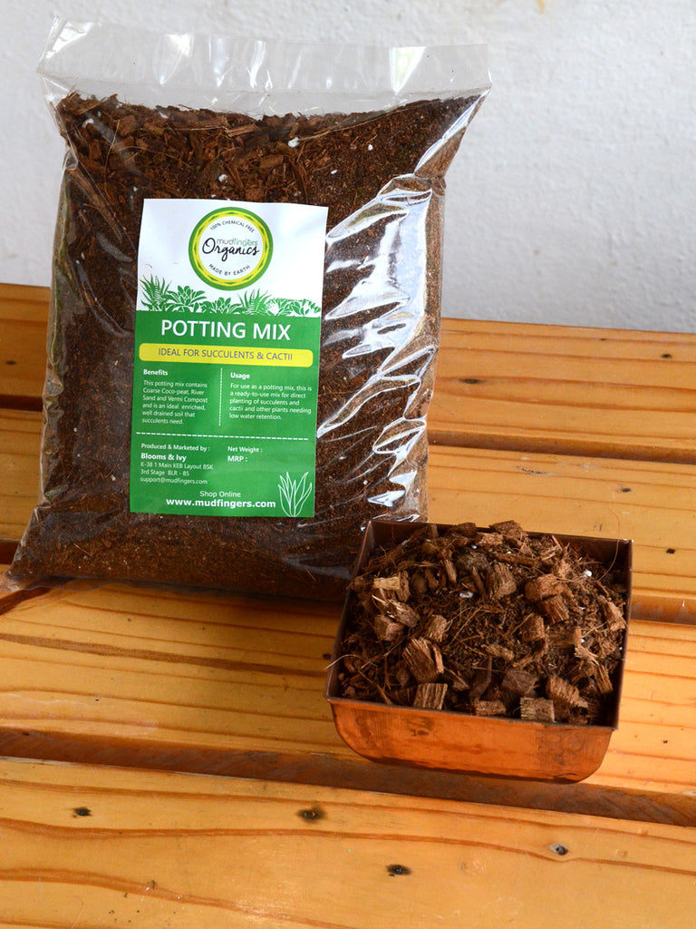 potting mix for ivy Soil Potting Mix (Succulents & Cactii)