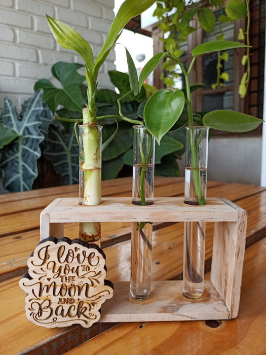 More than the Stars - 3 Tube Wooden Planter