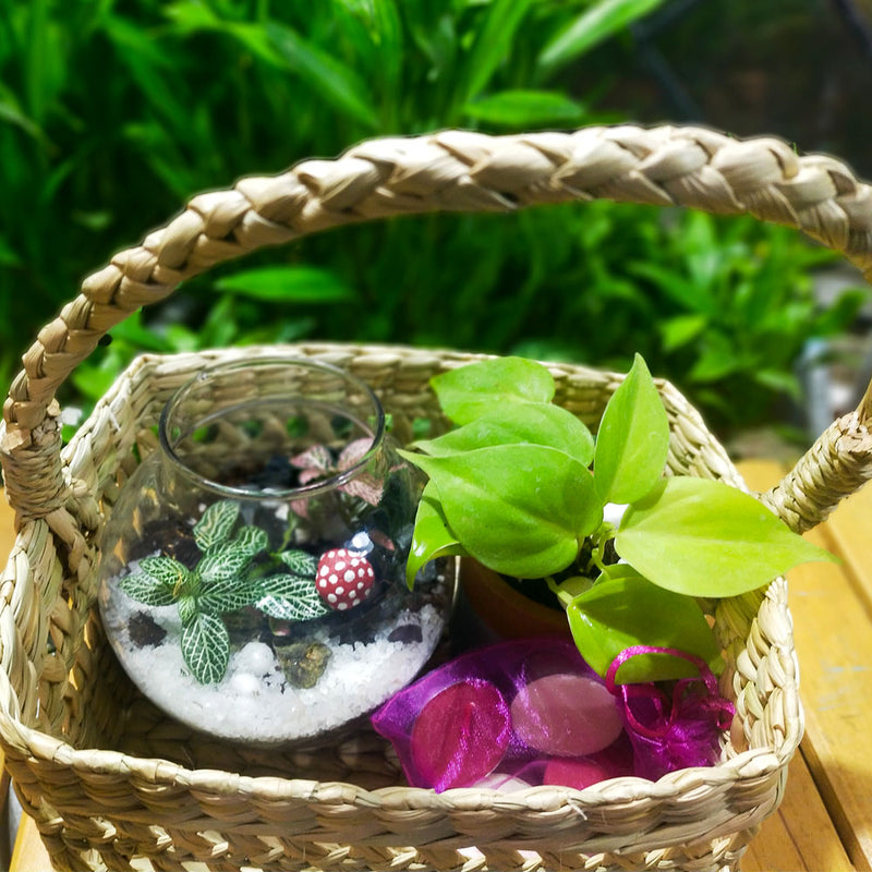 Earthy Deepawali Hamper