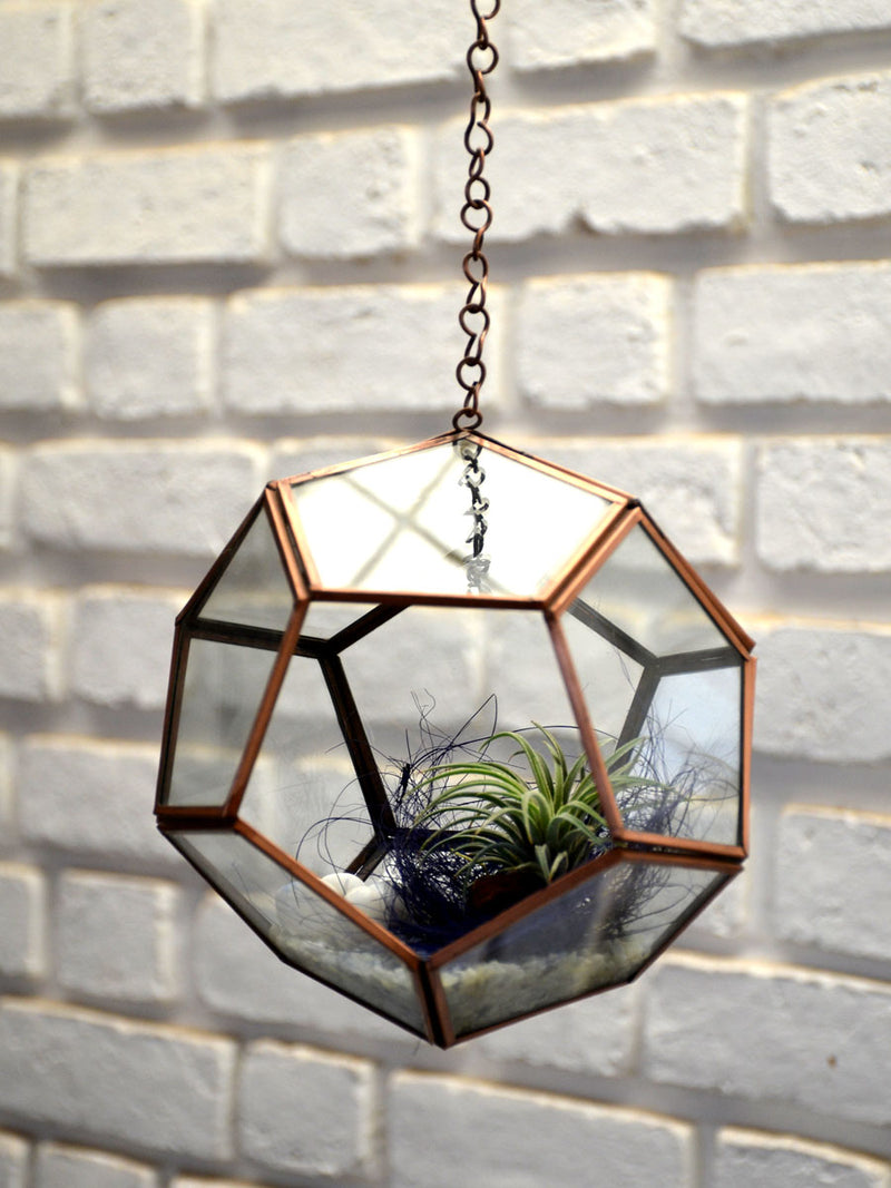 Hanging Pentagonal Air Terrarium