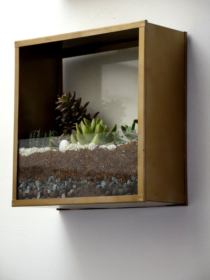 Square Wall Terrarium