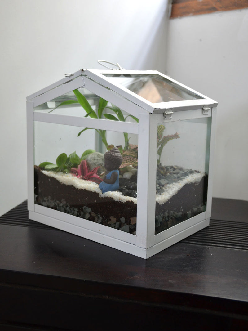 Mini Sun Room Terrarium