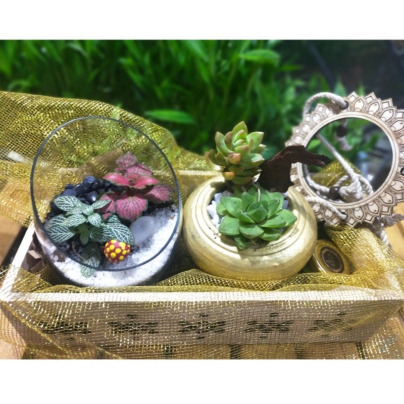 Premium Deepawali Hamper