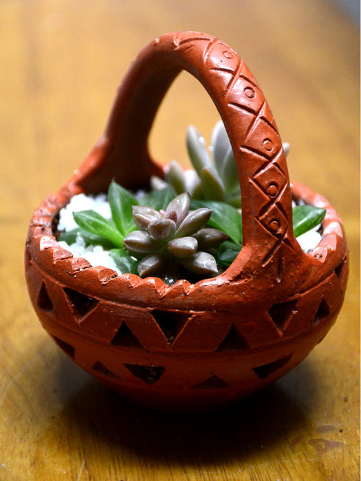 Succulent Clay Basket