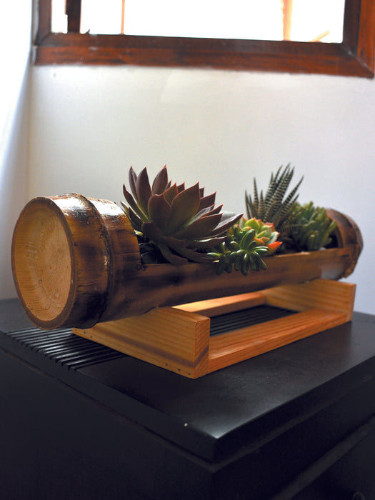 Table Top Bamboo Succulent Platter