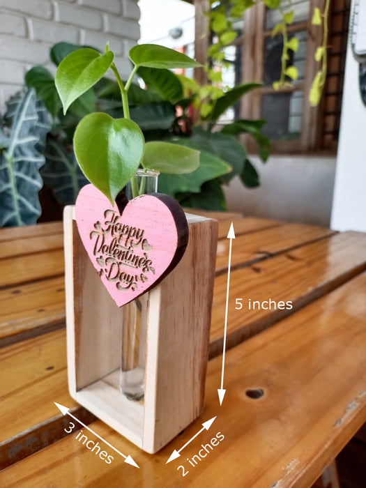 Happy Valentines - 1 Tube Wooden Planter