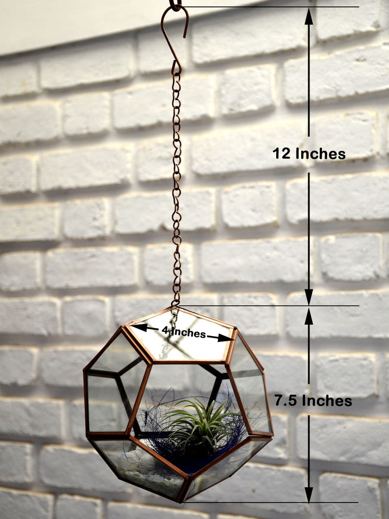Hanging Pentagonal Air Terrarium