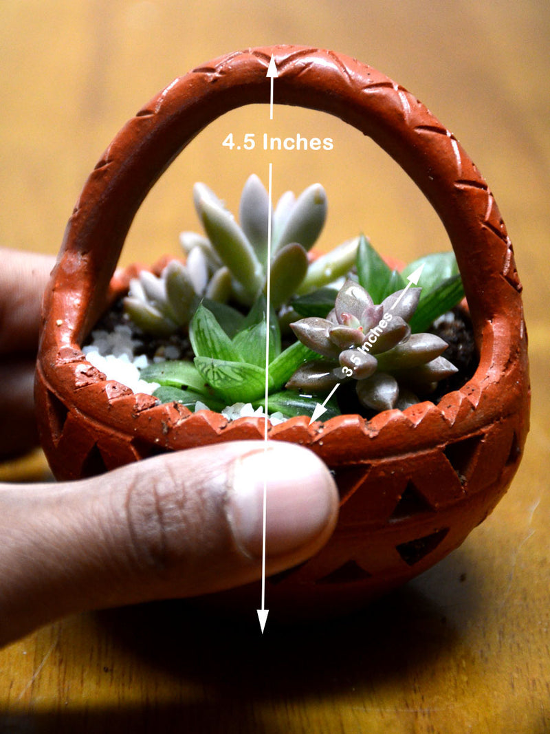 Succulent Clay Basket