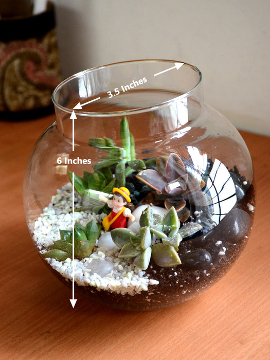 indoor succulent terrarium Round Succulent Terrarium — Mudfingers