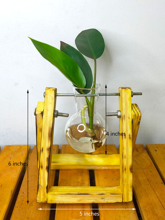 hydroponic planter indoor Hydroponic Indoor Plant in Glass Flask Wooden Planter — Mudfingers