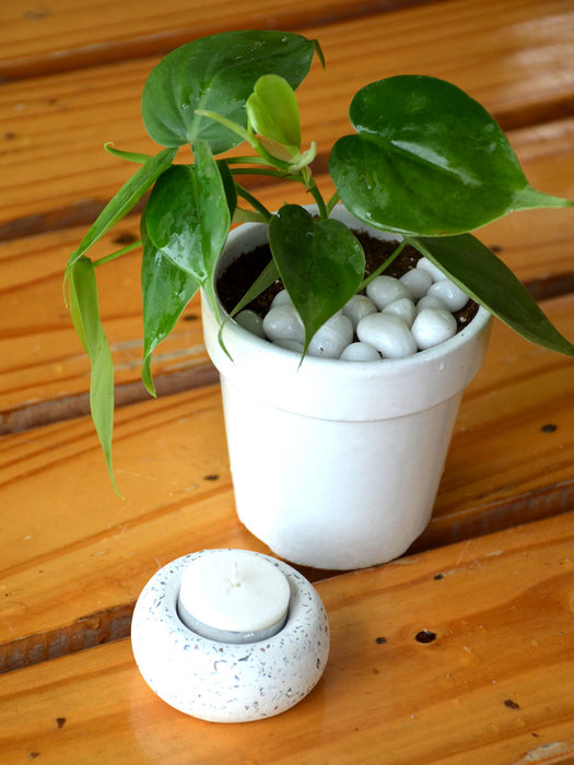 Deepawali Combo - Oxycardium in Ceramic Pot + Candle