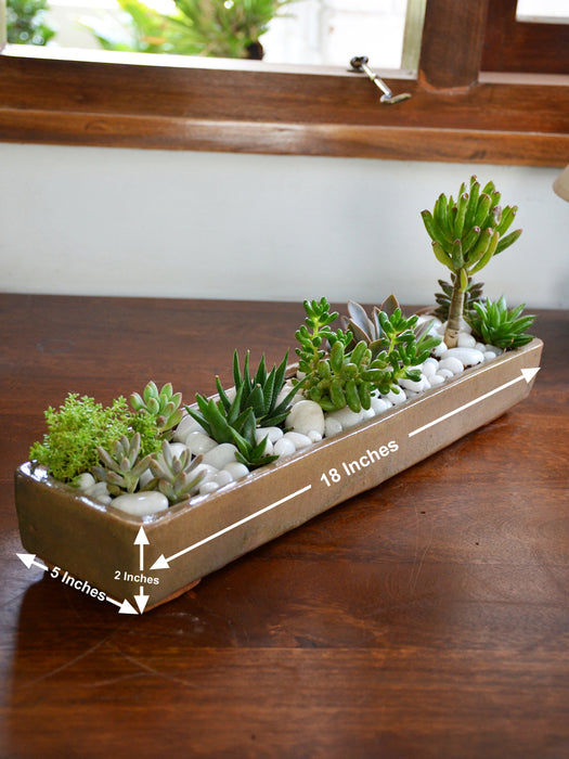 succulent planter tray Succulent Platter — Mudfingers