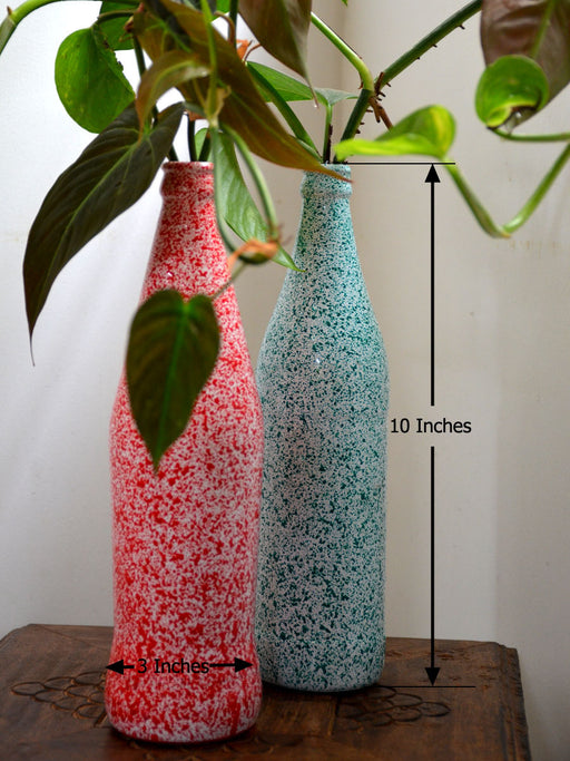 money plant in glass bottle Twin Bottles