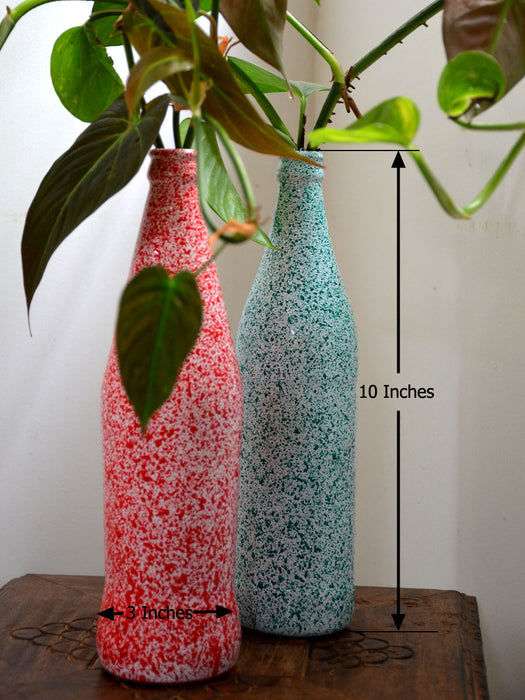 bottle for money plant Twin Bottles