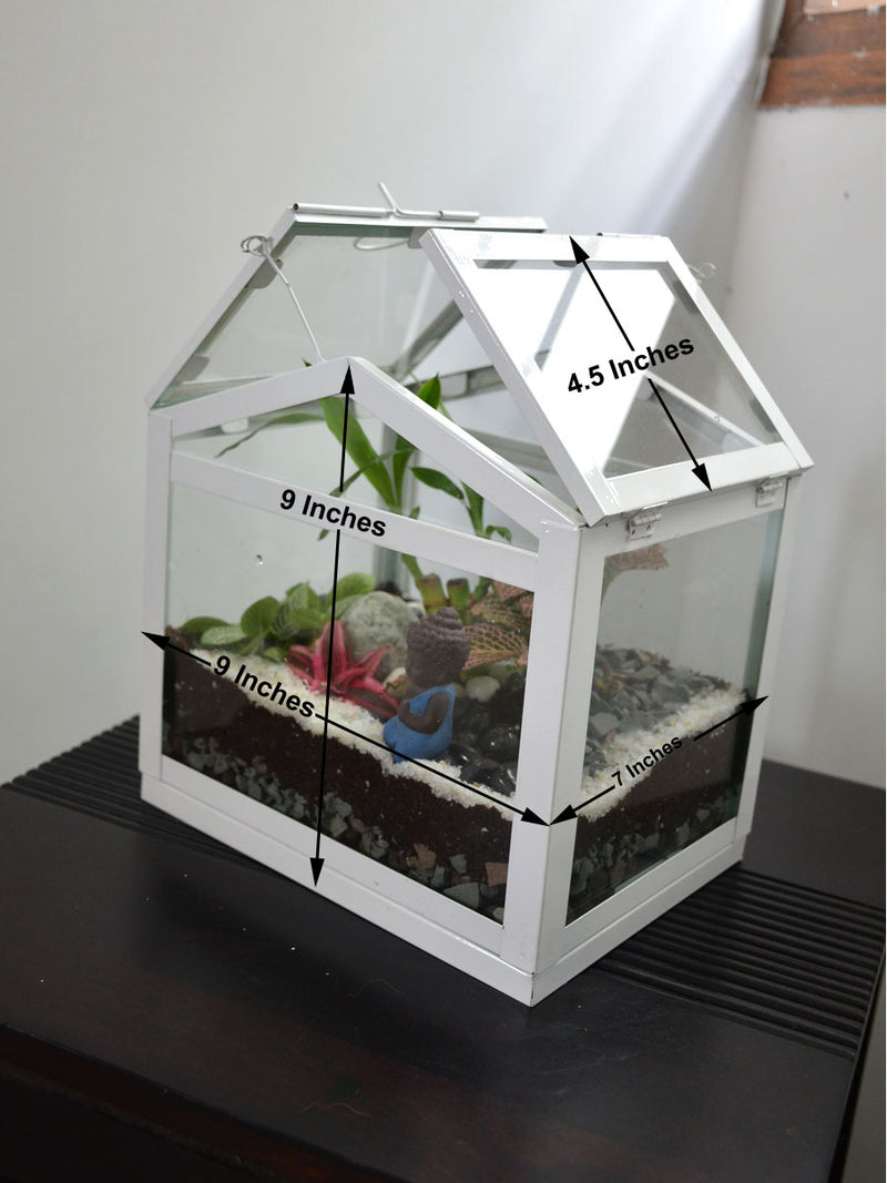 Mini Sun Room Terrarium