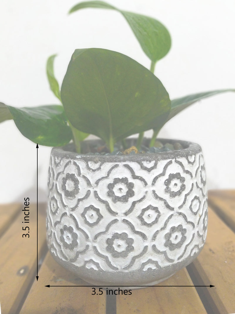 Test 1