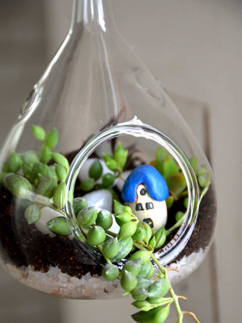 Hanging Orb Terrarium (Pear)