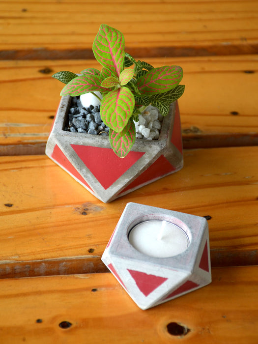 Deepawali Combo - Fittonia in Concrete Pot + Candle