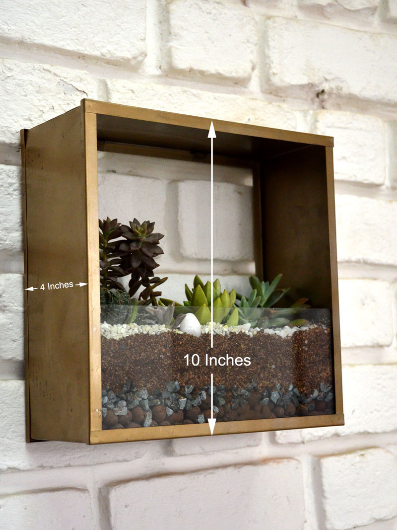 Square Wall Terrarium