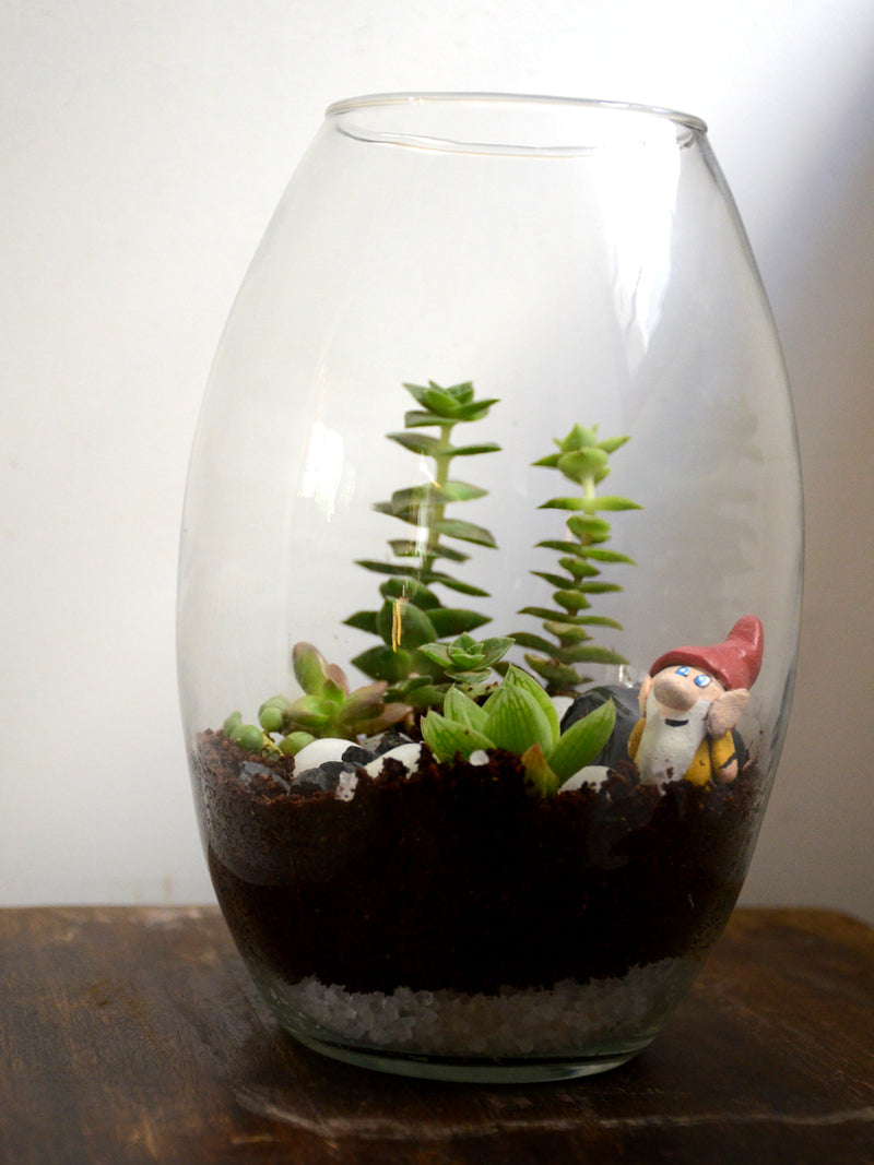 Oblong Terrarium