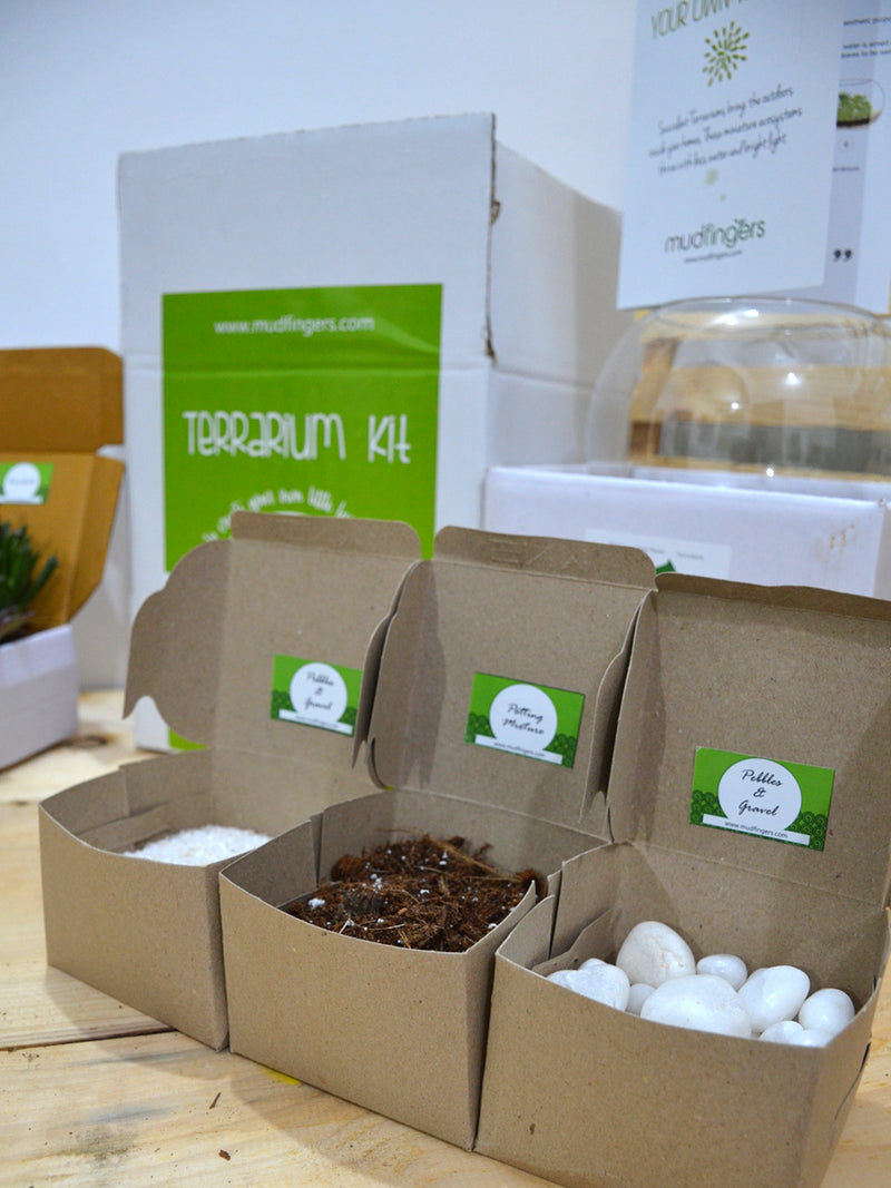 Do-it-Yourself - DIY-  Terrarium Kit (8 Inches)