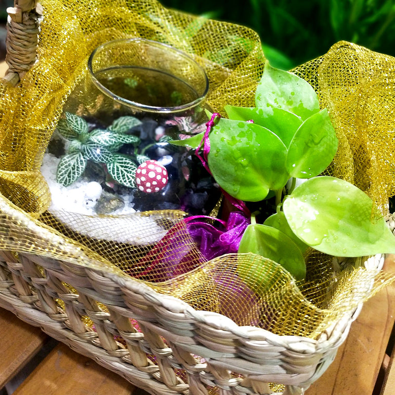 Earthy Deepawali Hamper