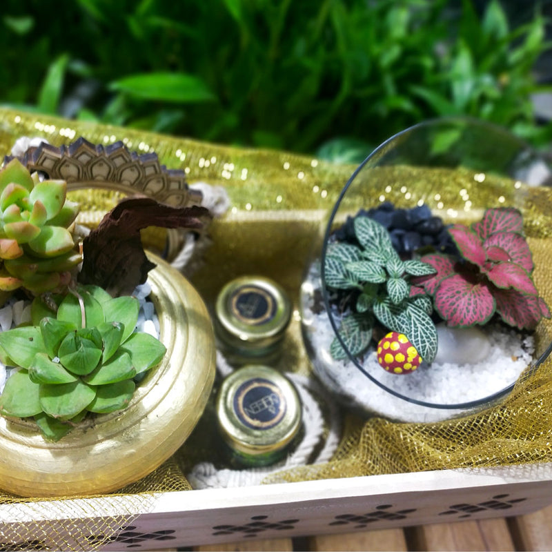 Premium Deepawali Hamper